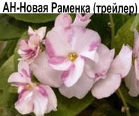АН-Новая Раменка