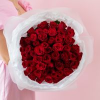 51 красная роза (40см)