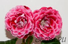 ЕН-Возьми мое Сердце (сел.Е.Николаева) Новинка 2025!