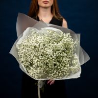 7 белых гипсофил