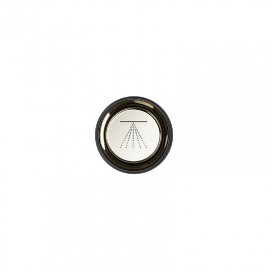 Кнопка декоративная Gessi Hi-Fi Eclectic с символом РАСПЫЛЕНИЕ SP03291 схема 1