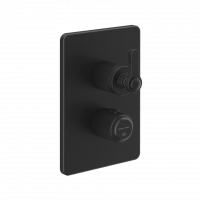 Смеситель для ванны и душа термостатический Gessi Venti20 65133 схема 3