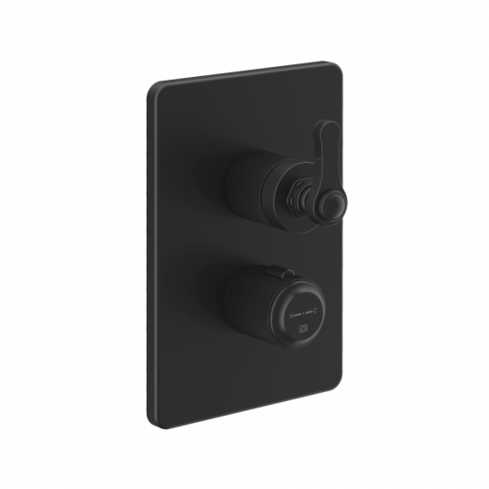 Смеситель для ванны и душа термостатический Gessi Venti20 65133 схема 3