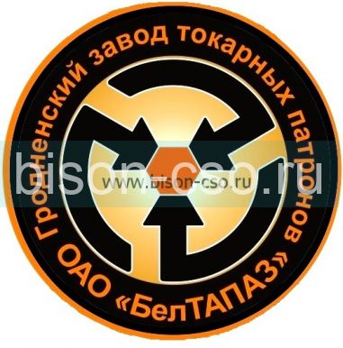 Кулачки прямые SJZ 3500 3200-200 (3-200.600.004) БелТАПАЗ Гродно