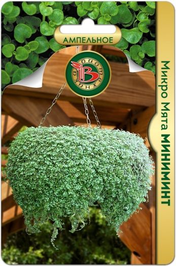 Микро Мята Миниминт