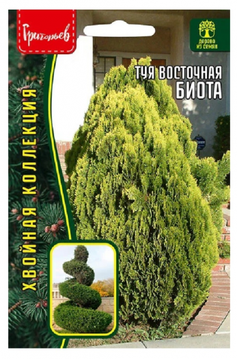 Туя восточная Биота