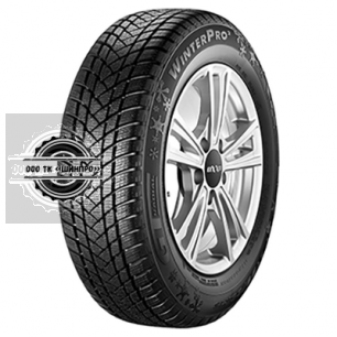 205/55R17 95H XL WinterPro 2 TL GT Radial