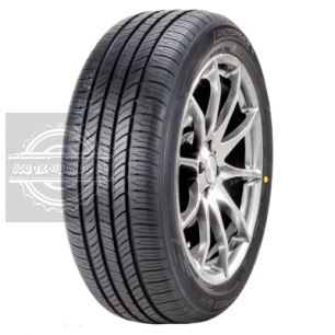 205/55R16 91V Citytraxx G/P TL BSW Landspider