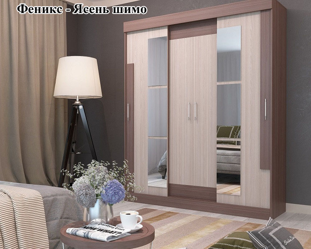 Шкаф купе "Фея" 1,6 комбинированный