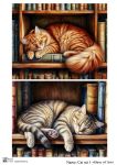 Cat set 1