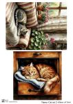 Cat set 2
