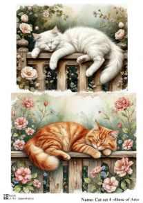 Cat set 4