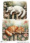 Cat set 4
