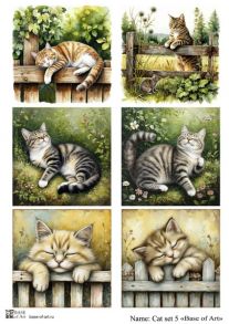 Cat set 5