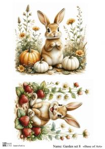 Garden set 8
