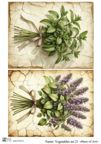 Vegetables set 21