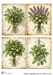 Vegetables set 22