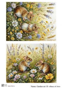 Garden set 10