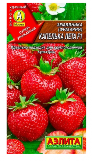 Земляника ремонтантная крупноплодная Капелька лета F1