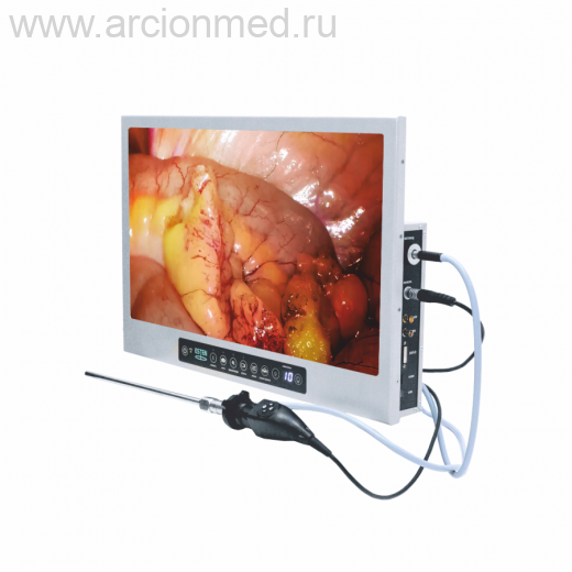 Видеокамера эндоскопическая ESTEN FullHD со встроенным осветителем и монитором 24' (с вариоадаптером)