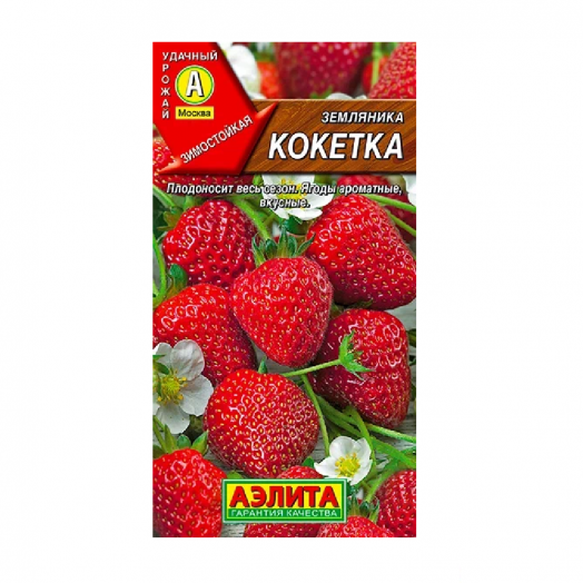 Земляника ремонтантная крупноплодная Кокетка