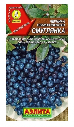 Черника обыкновенная Смуглянка 0,01гр