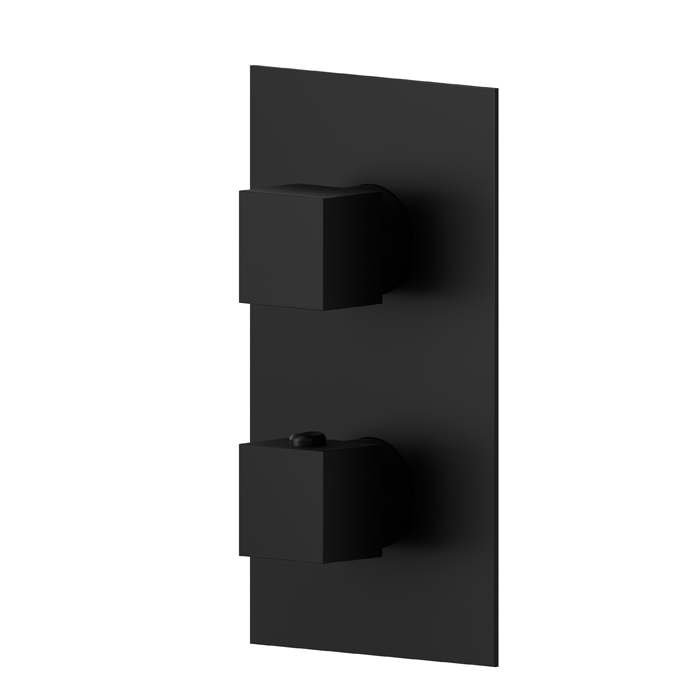 Изображение Встраиваемый термостатический смеситель для душа Newform Ergo Q 67648E внешняя часть