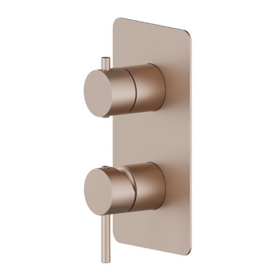 Смеситель для душа встраиваемый на 2 потока Newform X-Way 67693E внешняя часть схема 5