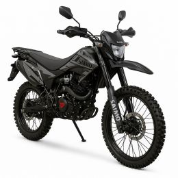 Saimo PRO 06 300