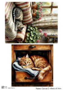 Cat set 2