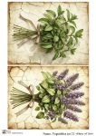 Vegetables set 21