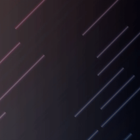 Business 005