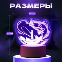 Светильник "Рыбак" LED RGB от сети 9,5х13,5х15 см RISALUX
