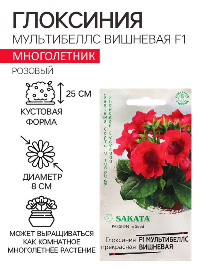 Семена Глоксиния "Мультибеллс вишневая", ц/п,  F1, 4 шт.