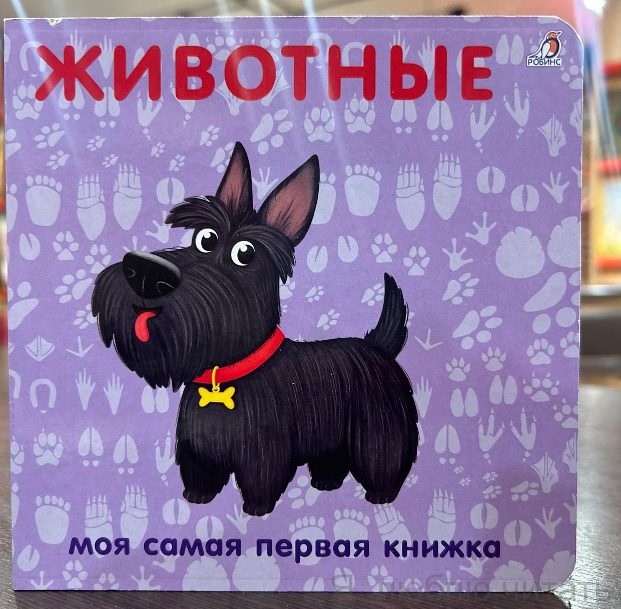 Книжки-картонки. Животные