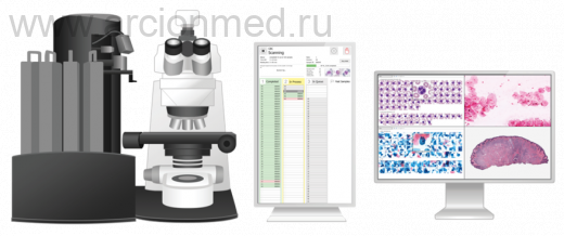 Автоматическая сканирующая система Vision System Ultimate