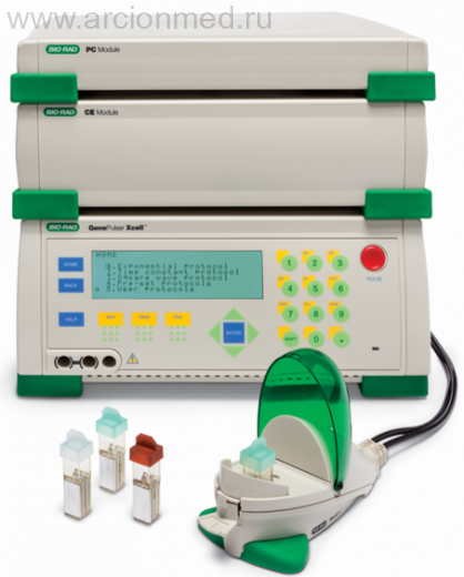 Система для электропорации Gene Pulser Xcell всех типов клеток Bio-Rad