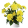 ГЕОРГИНА DARLIN YELLOW
