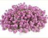 АЛИССУМ STREAM COMPACT ROSE