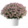 НЕМЕЗИЯ MENOR DUAL VIOLET