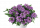 ВЕРБЕНА VANESSA COMPACT OPTIC LAVENDER