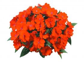 БАЛЬГАМИН НГ SUN HARMONY DEEP ORANGE