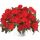 БАЛЬЗАМИН НГ HARMONY DARK RED