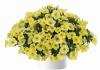 КАЛИБРАХОА COLIBRI LEMON (Я)