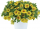 КАЛИБРАХОА COLIBRI MELLOW YELLOW