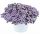 КАЛИБРАХОА ICONIC PURPLE