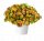 КАЛИБРАХОА LIA ABSTRACT LEMON CHERRY