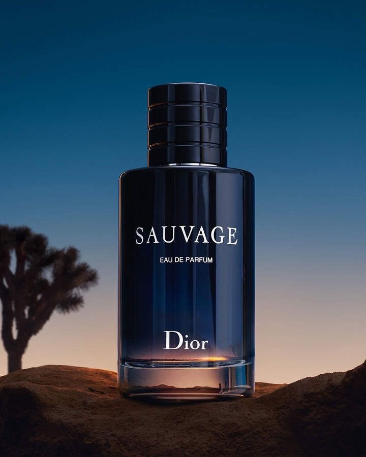 CHRISTIAN DIOR