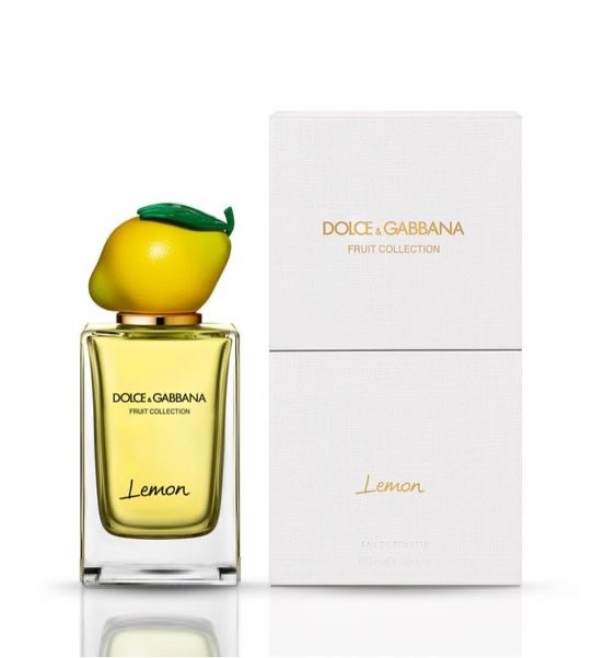 DOLCE & GABBANA