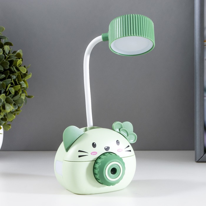 Лампа настольная «Дели» LED 2 режима 2 Вт USB зеленый 11.7?7?12 см RISALUX